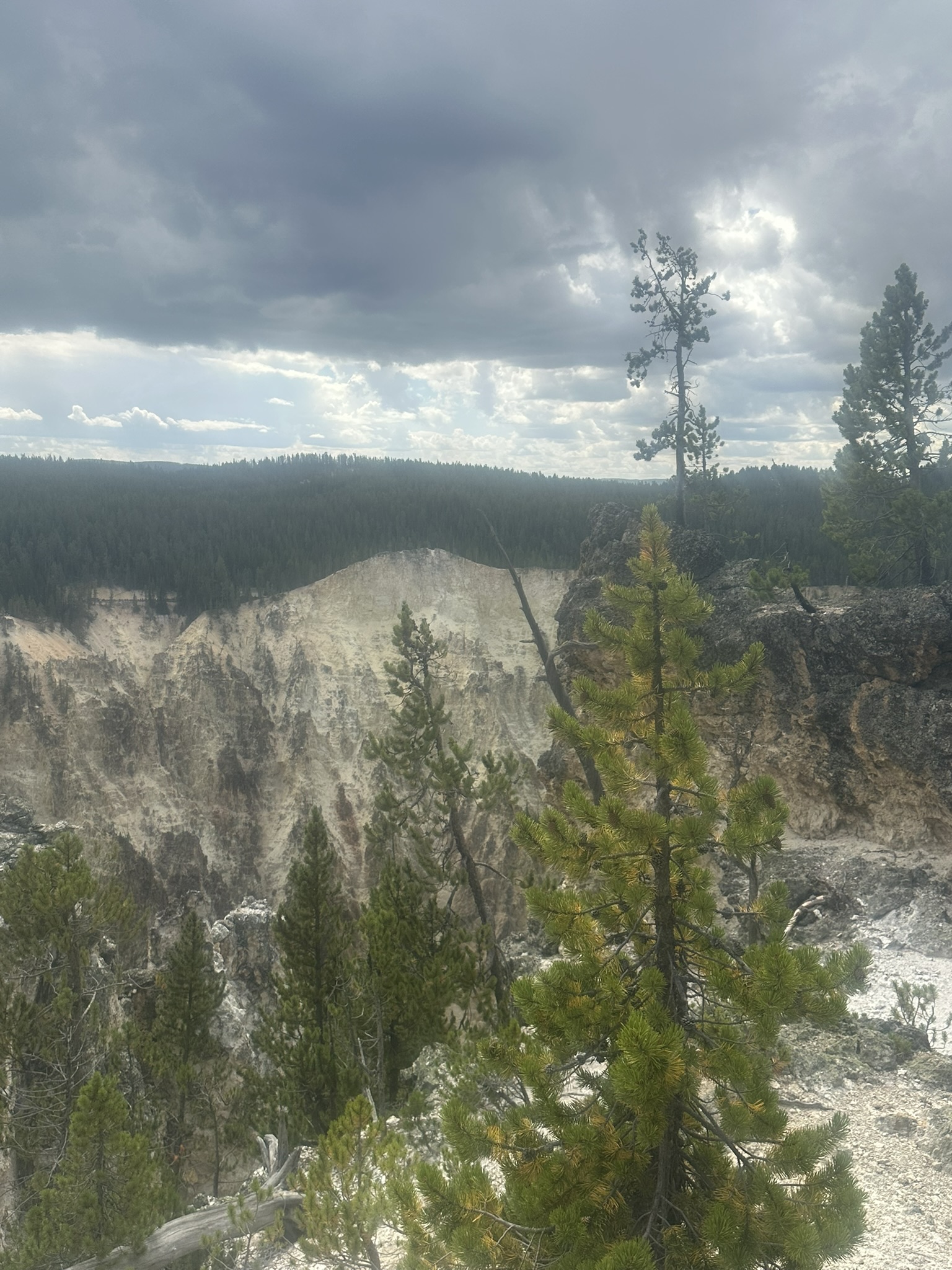 Yellowstone And Grand Teton National Parks - Image 656